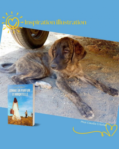extrait parfum chien (1)