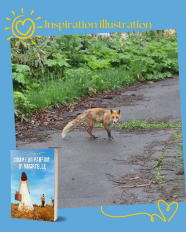 extrait parfum porcelet (1)