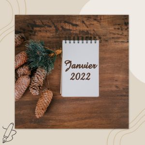Lire la suite à propos de l’article Journal de Janvier 2022