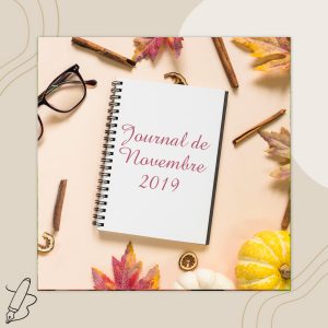 Lire la suite à propos de l’article Journal de Novembre 2019