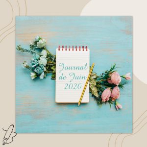 Lire la suite à propos de l’article Journal de Juin 2020
