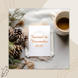 Lire la suite à propos de l’article Journal de novembre 2020