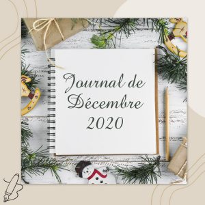 Lire la suite à propos de l’article Journal de décembre 2020