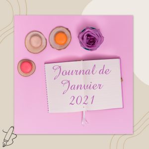 Lire la suite à propos de l’article Journal de Janvier 2021