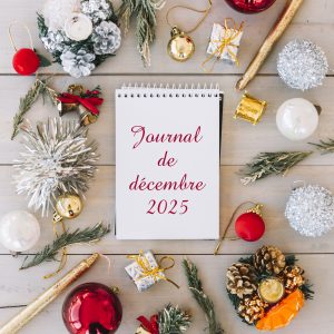 Lire la suite à propos de l’article Journal de décembre 2025